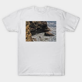 The Beaches And Tidepools Of Cabrillo - 9 © T-Shirt